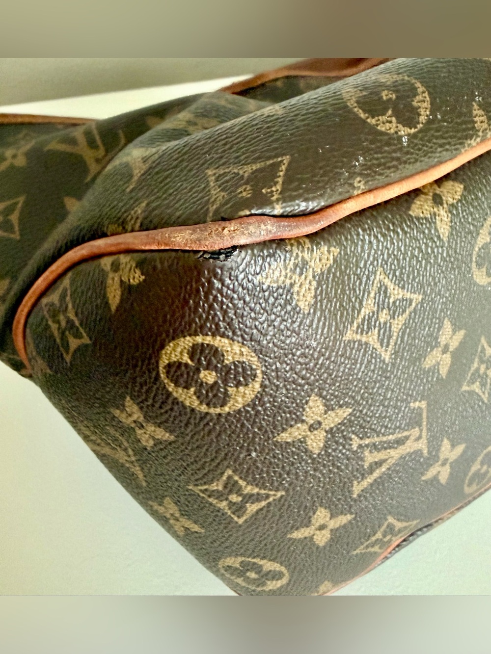 Louis Vuitton Delightful MM Monogram Shoulder Bag - Discontinued - Picture 15 of 15